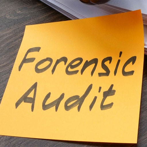 Forensic-Audit